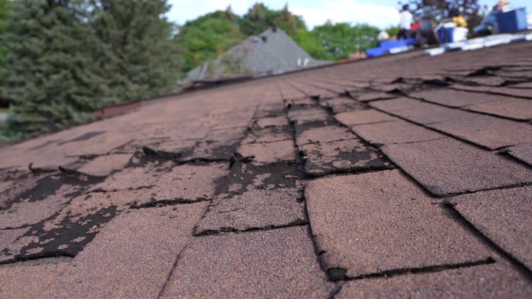 Best Roof Leak Repair  in Coldstream, KY