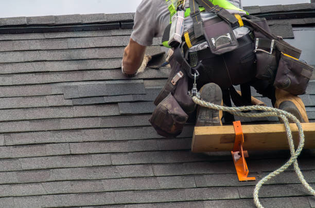 Best Chimney Flashing Repair  in Coldstream, KY