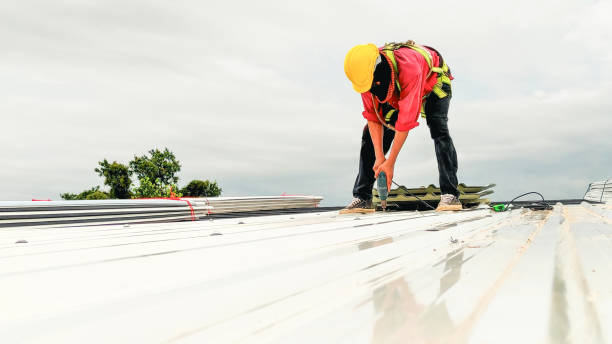 Best Roof Installation  in Coldstream, KY