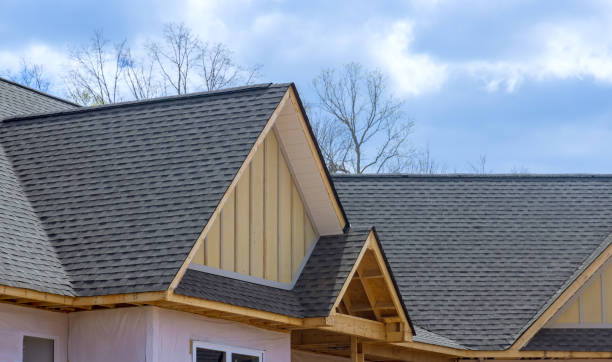 Best Rubber Roofing (EPDM, TPO)  in Coldstream, KY