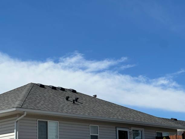 Best Sheet Metal Roofing  in Coldstream, KY