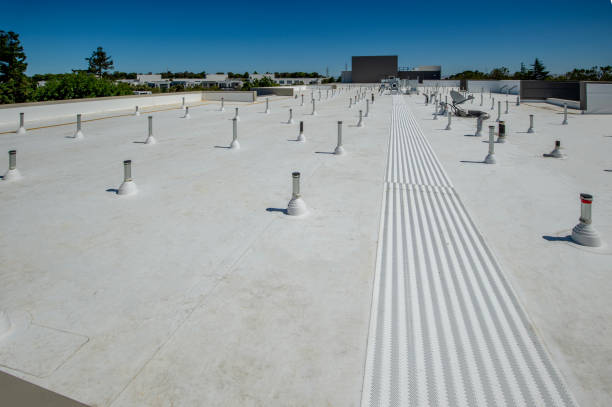 Best Storm Damage Roof Repair  in Coldstream, KY